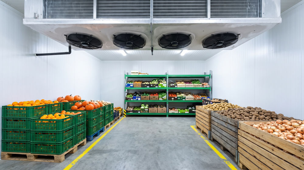 Produce crates stored inside a refrigerated food facility