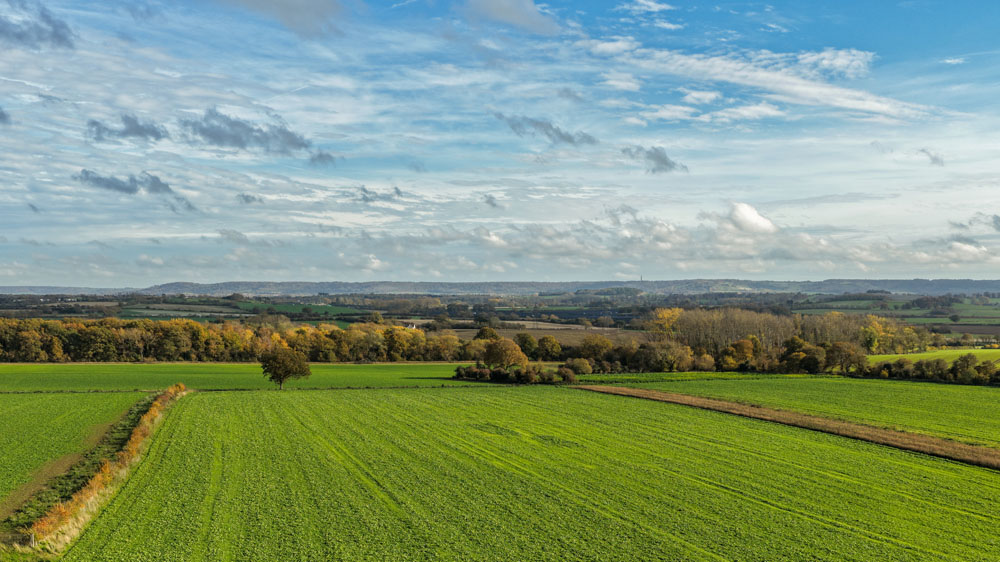 Green agricultural fields extending across a rural landscape